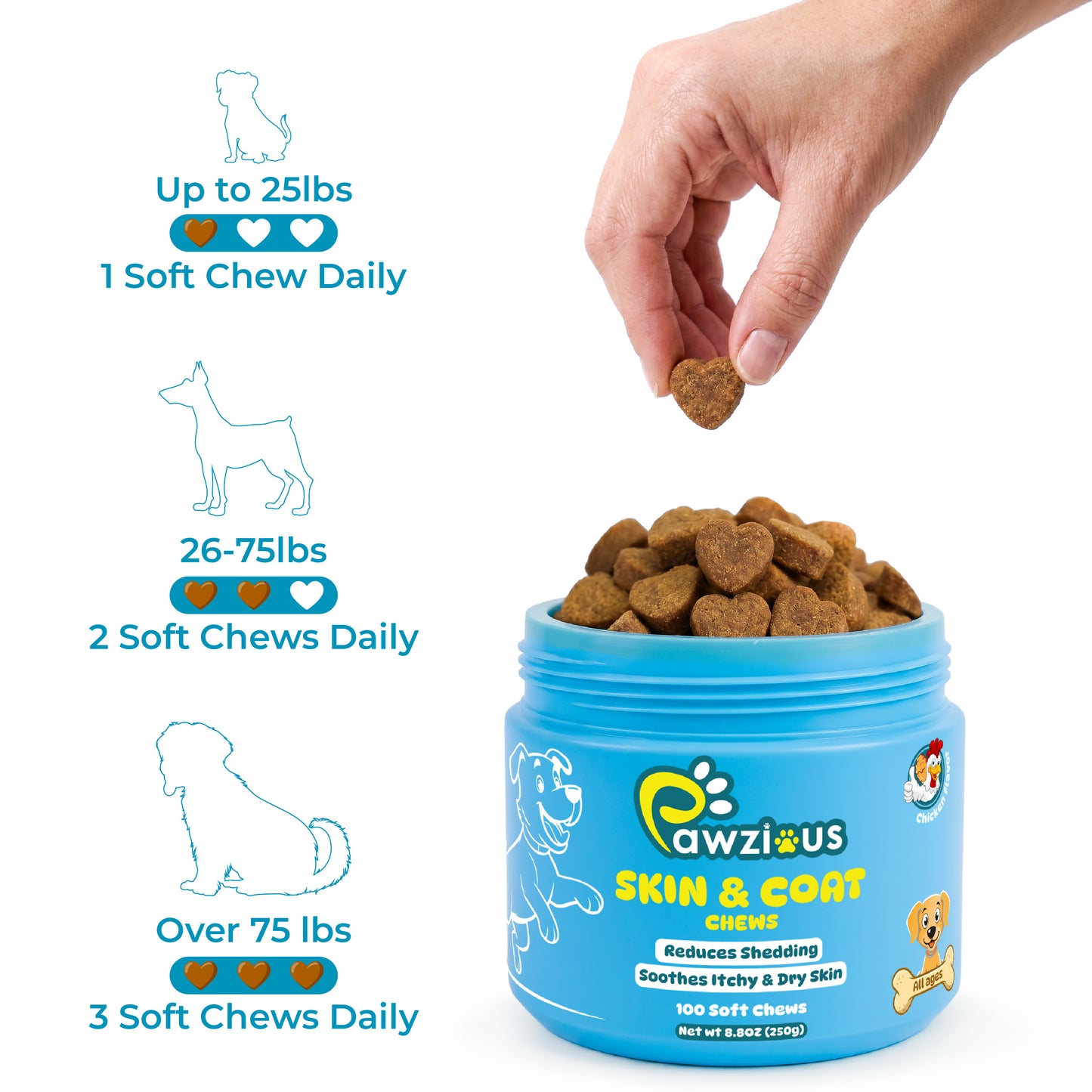 Dog Skin and Coat Supplement Chews