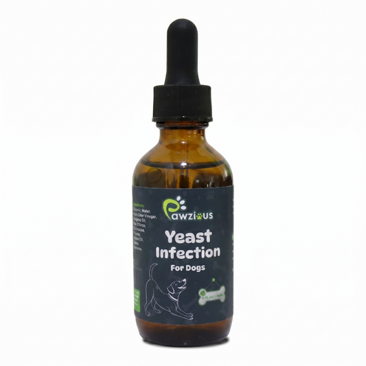 Yeast Infection for Dogs
